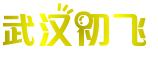 武汉初飞